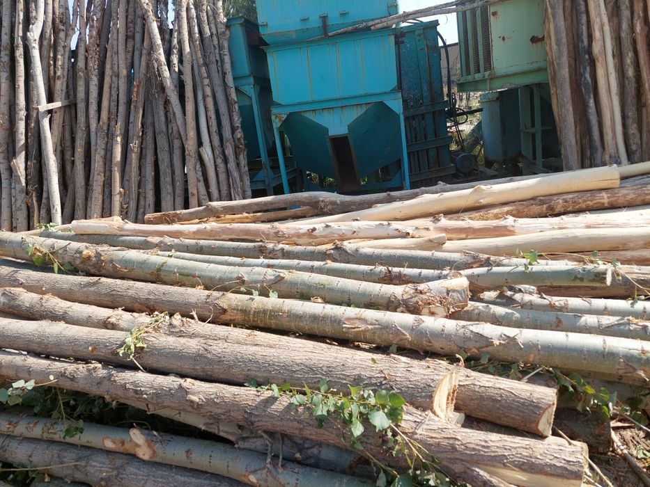 Tosin strapila corni reka taxtalar PILARAMA XIZMATI