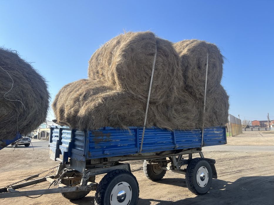 Продаю сено в рулонах