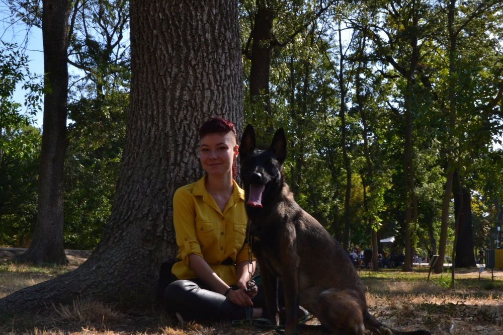Dresaj si psihologie canina