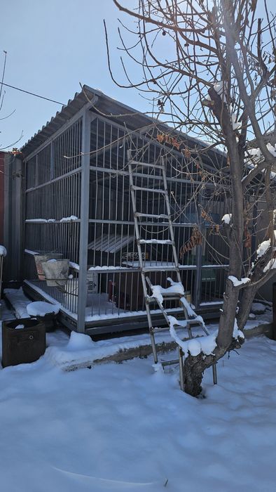 Вольер для собак