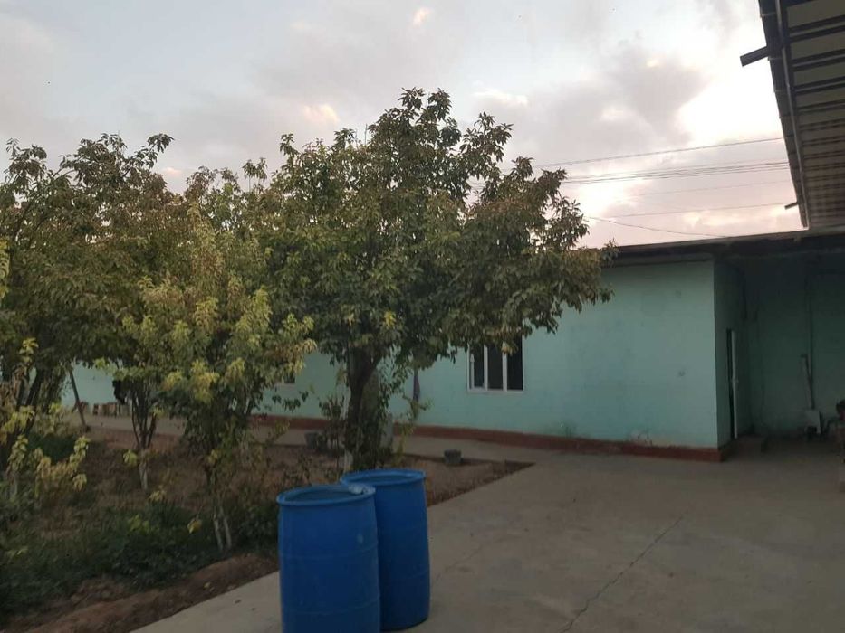 Ховли, участка, турар жой сотилади