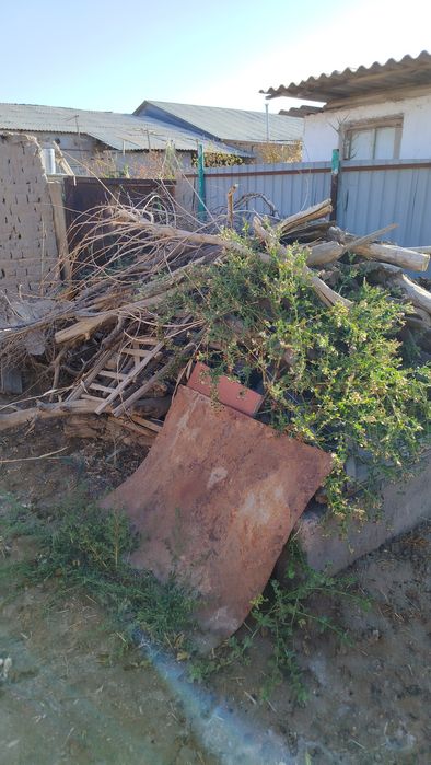 Отин сатылады 500000сум