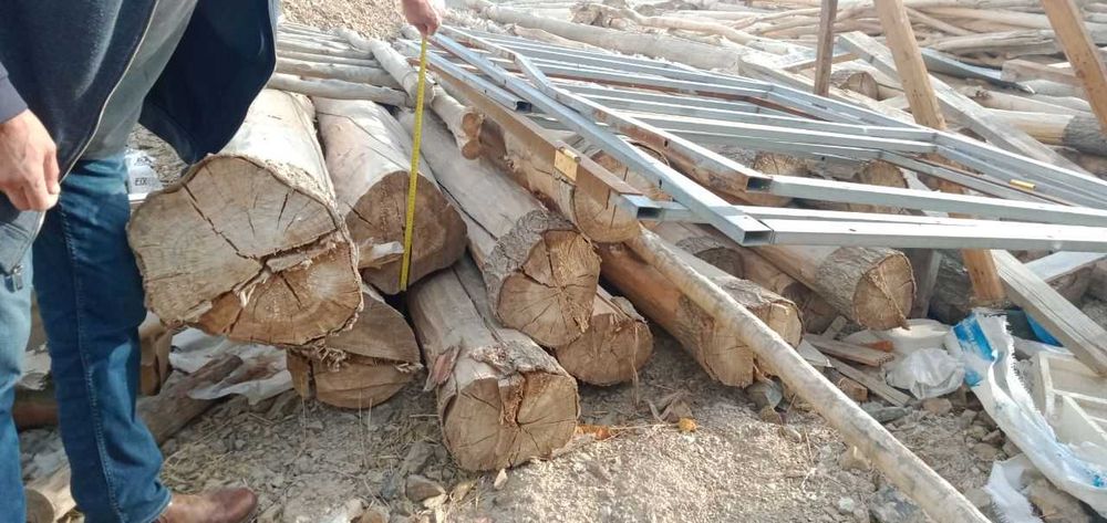 Дерево/Бревно 6м (терак)