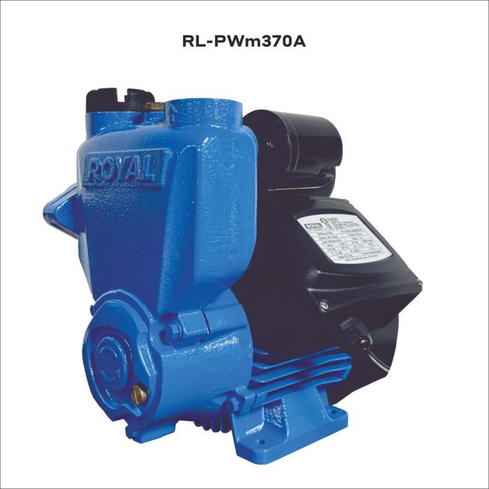 Центробежный вихревой насос Royal RL-PWm370A