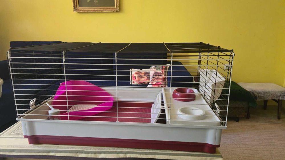 Оборудвана клетка за зайци / гризачи + много бонуси