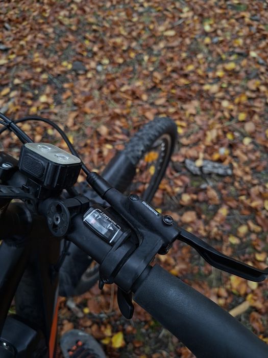 bicicleta Blaunpunkt Prophete 51721