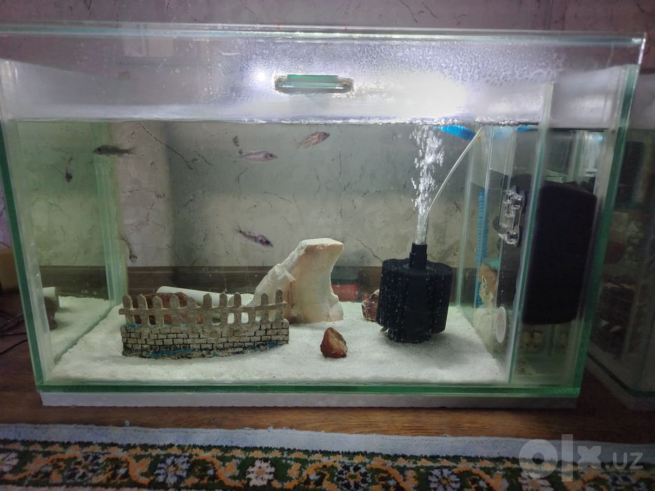 120L akvarium ichki samp filtrli