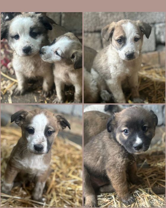 Дети очень ждут своих родителей!