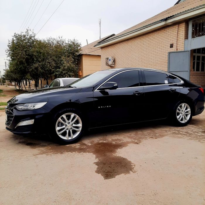 Malibu 24 primer qlingan