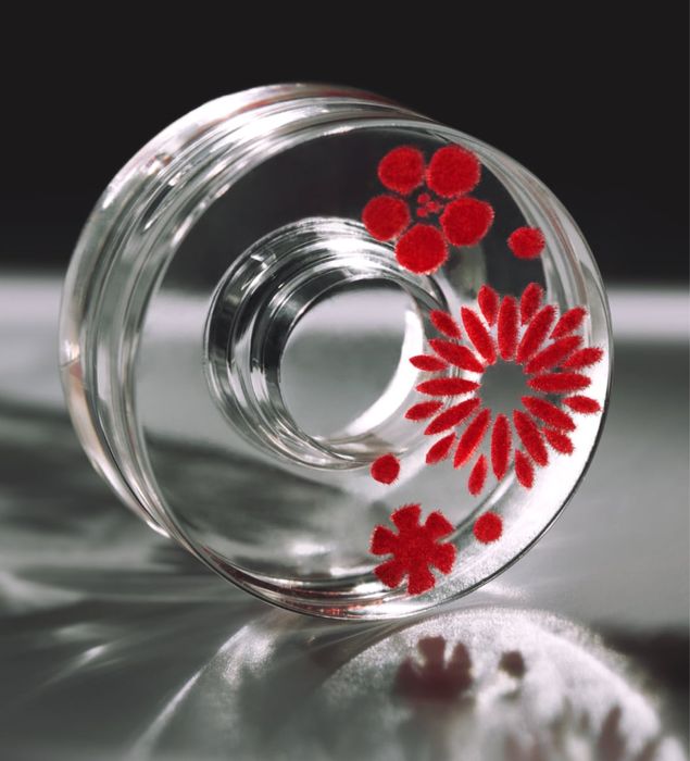 флок печать, flok sepamz, barxt, бархат