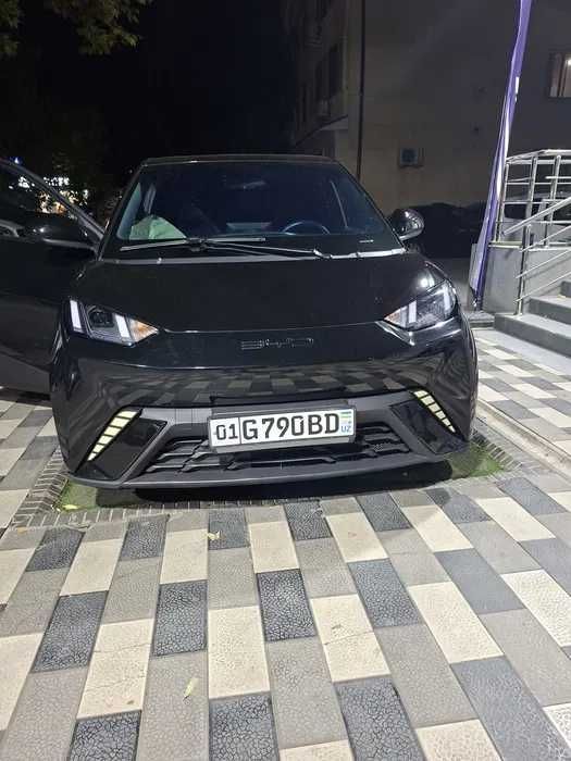 seagull  byd naxt rasrochka