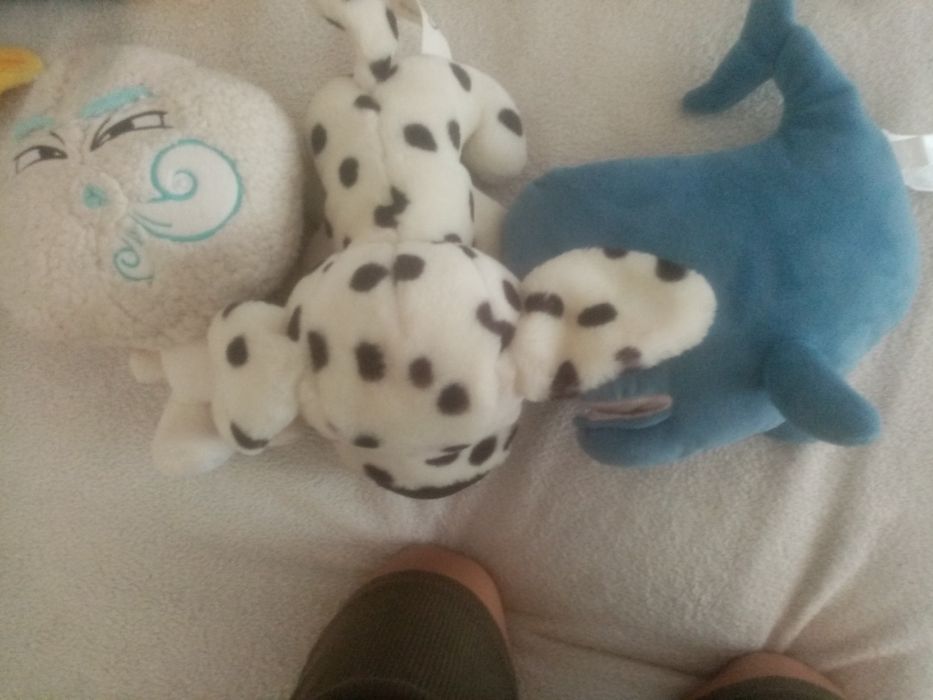 Plusurile mele norila, dalmațian, balenuta T  nu au defect și au 40 cm