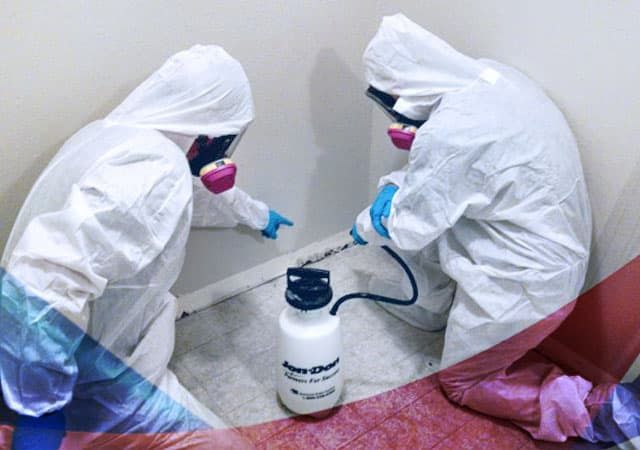 Дизинфекция помещения домов