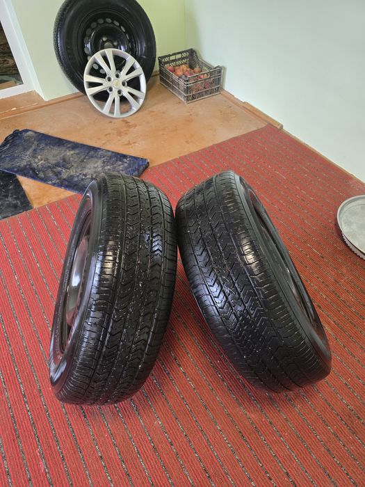 Cobalt 14 diska balon charmhoo yumshoq baloni bilan  balon