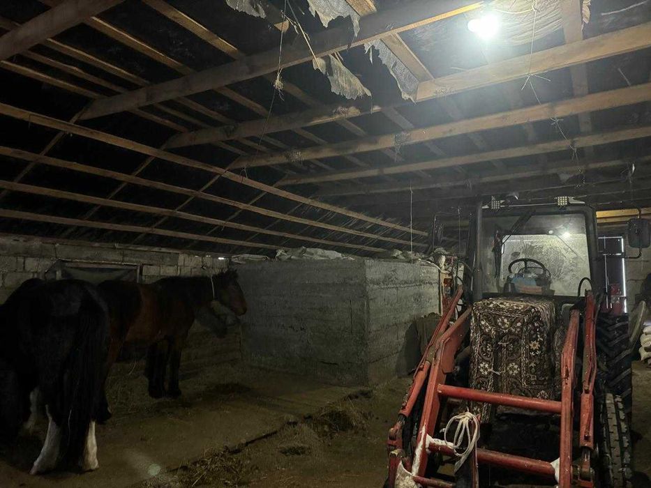 Продается крестьянское хозяйство