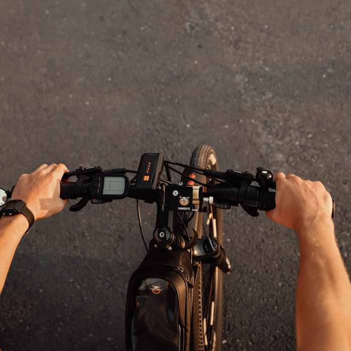 Bicicletă electrică E-motion distanţă 80+ km 50km/h 750W 48V 16+13Ah