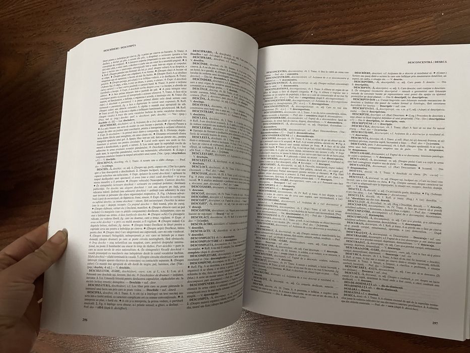 Dex - Dictionar Explicativ