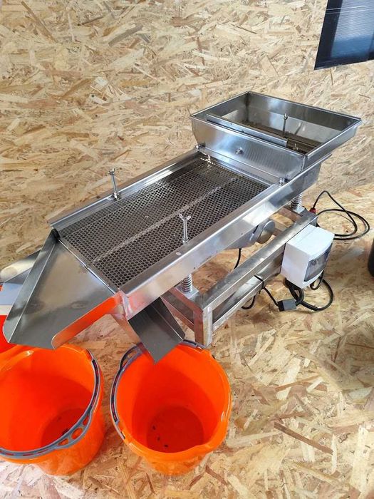 Seminte floarea soarelui selector seminte