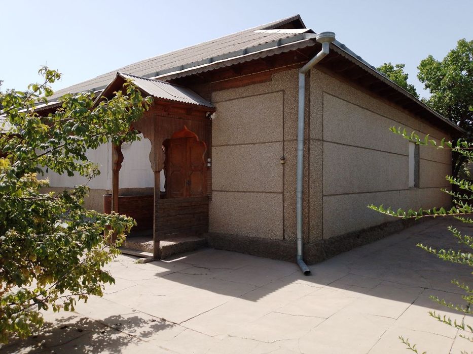 11 сотухли ховли