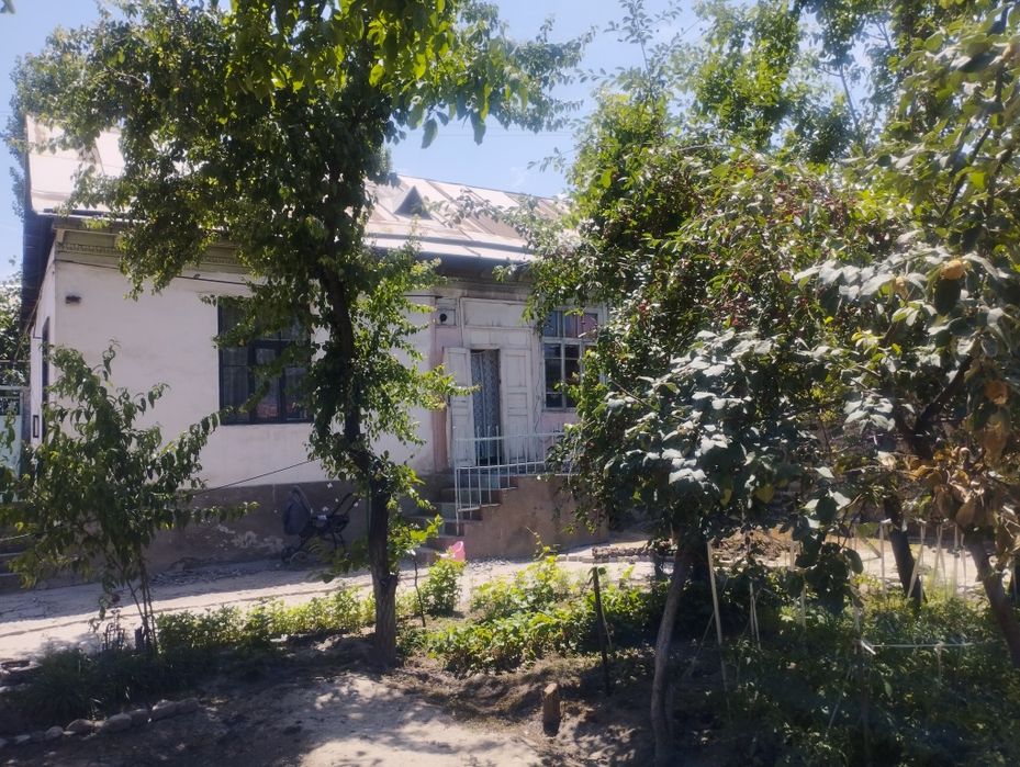 xovli sotiladi  6 sotx 4 xonalik