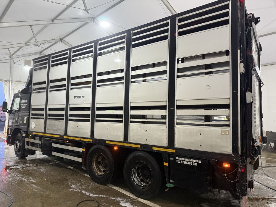 Volvo FM12 animale vii