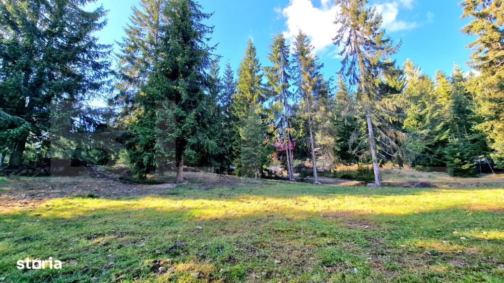 Teren 1.700 mp langa liziera padurii, utilitat, Marisel