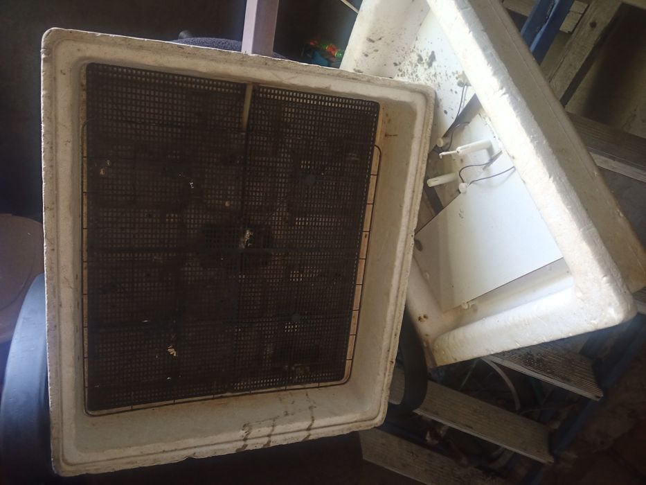 Инкубатор автоматический