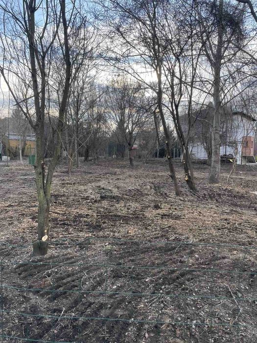 Почистване на парцели дворове и запустели имоти