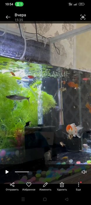 Акварим 250литр комплекте все