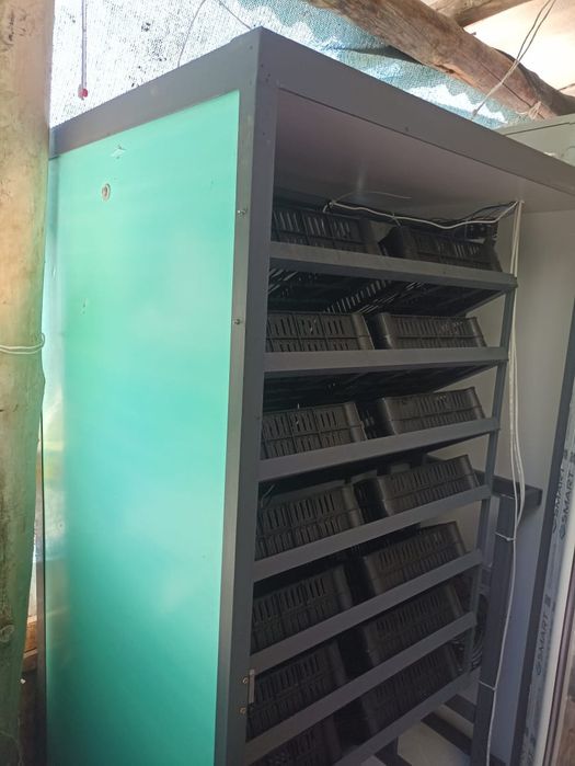 Инкубатор автоматически