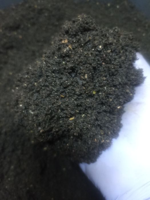 Продам биогумус.