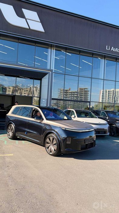 Black + Gold цвет Livis Lixiang на 1 год в рассрочку 0 %