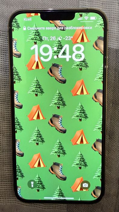 Iphone 13 Pro Max 256 Gb