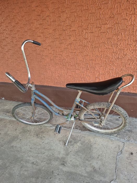 Pegas cu coarne inalte si sa lunga