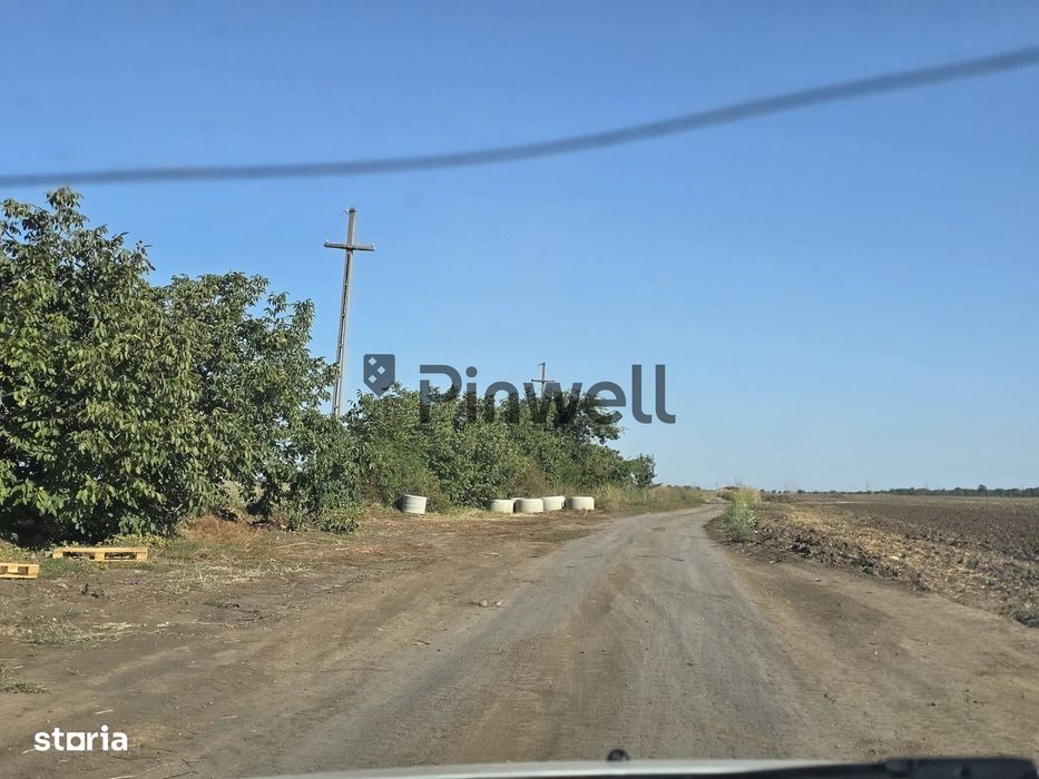 690.000mp Teren intravilan in Jilava