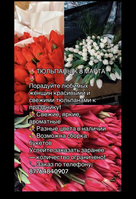 Тюльпаны к 8 марта звони прямо сейчас !