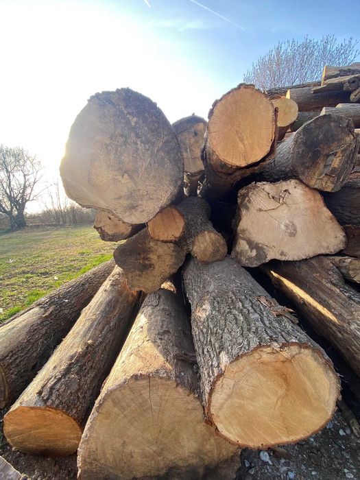 Bușteni uscați ptr. foc, stejar/frasin, cubat corect