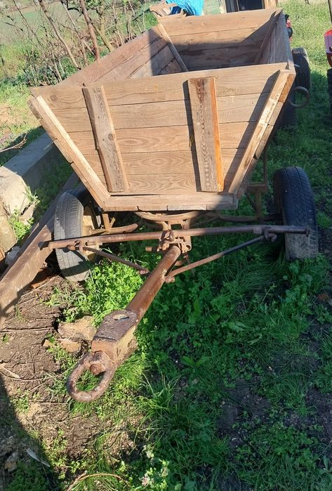 Vând sau schimb cu ponei