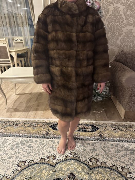 Продам дикий соболь