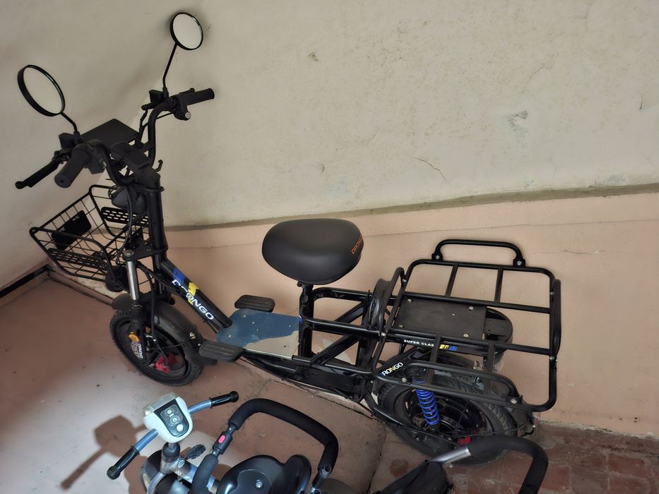 Drongo monstr kattasi