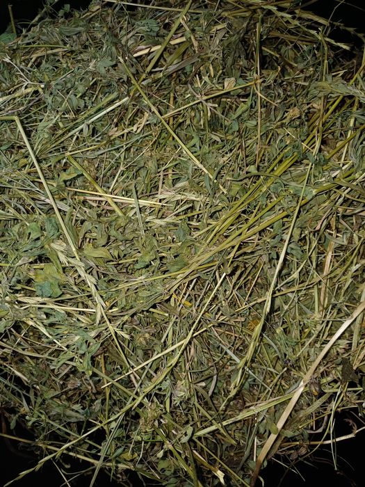 Vand lucerna si fan la baloti mici