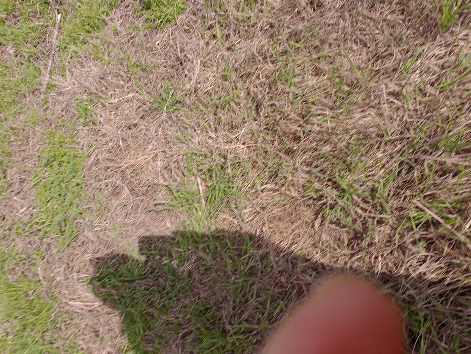 Продава се Парцел в с. Рудник, Област Бургас - 850 кв.м за 24 €/кв.м - Снимка #4