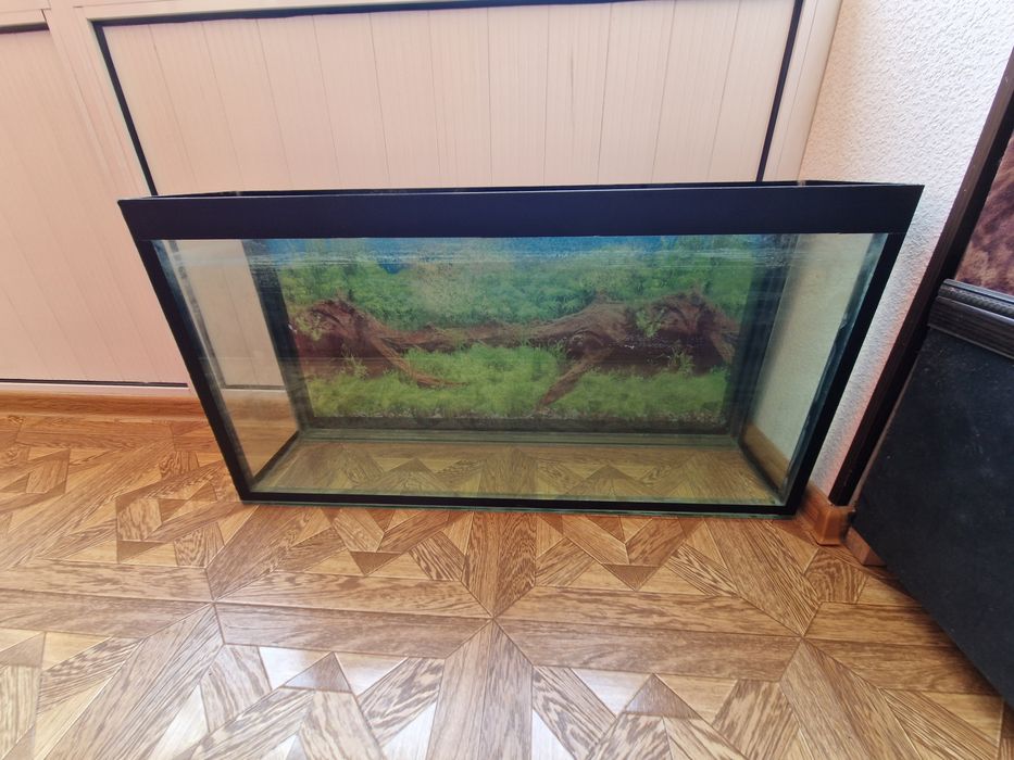 Аквариум сотилади