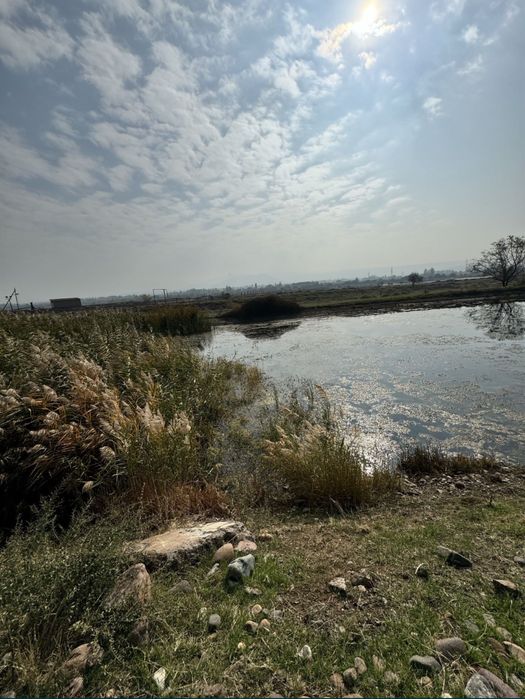 Срочно продаётся 10 гектаров земли в Ахангаране