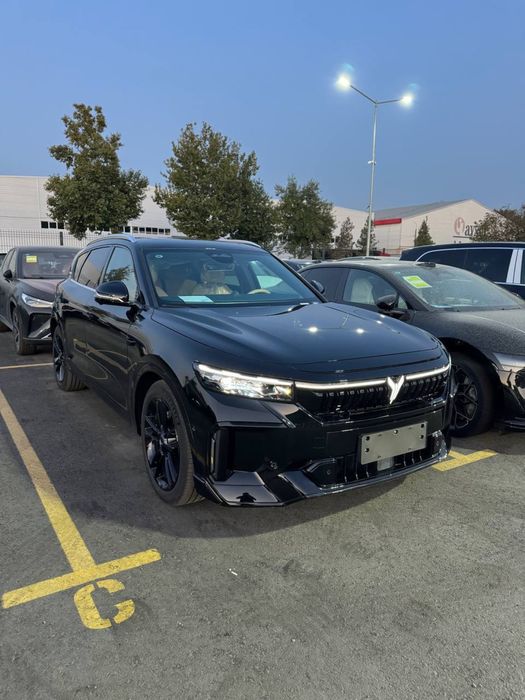 Voyah free 318 apollo tech