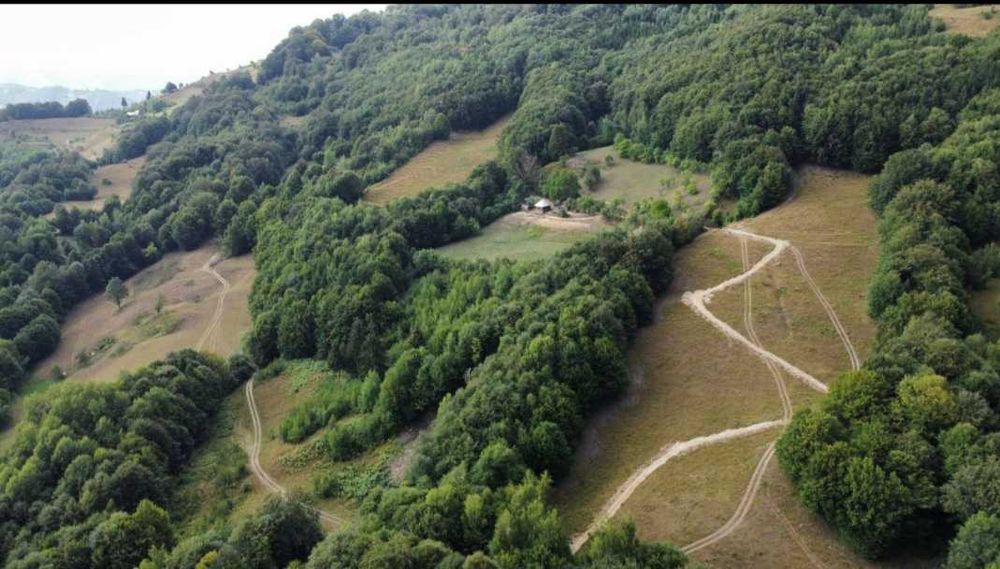 Vând teren 10,5 ha cu casă și sură, 3 izvoare, Bistrița
