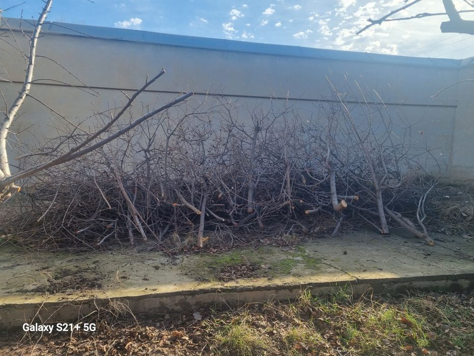 Утин-Хезум бепул,Самовывоз