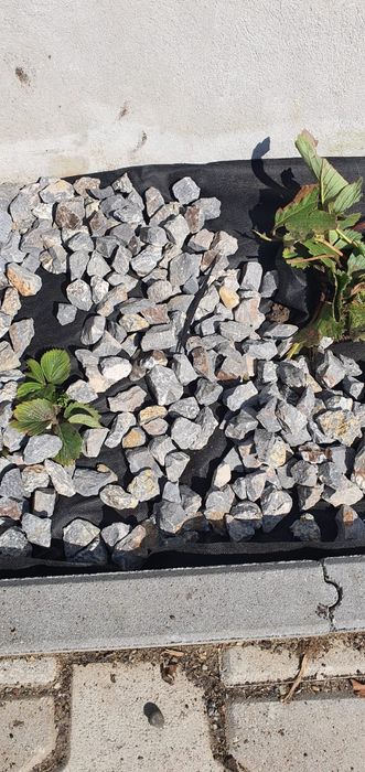 Transport marfa, sort, nisip, pietriș, pământ, moloz.