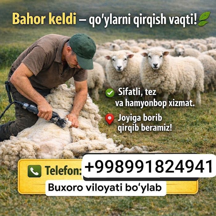 Quy qirqish xizmati bo'sa tel qilasila