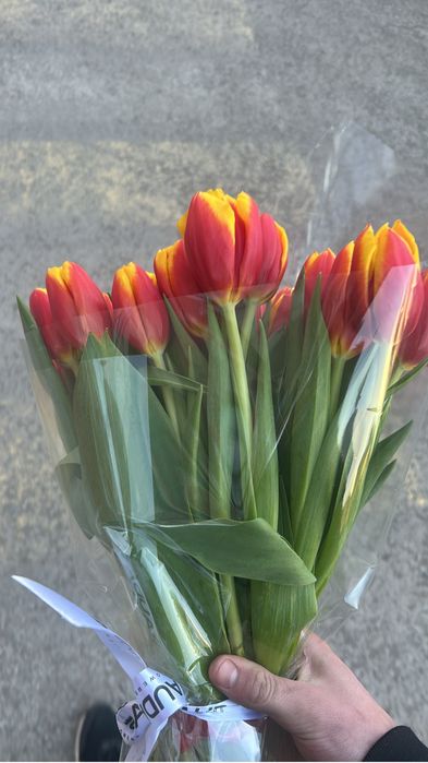 гүл 25 штук алып кетси бауыр